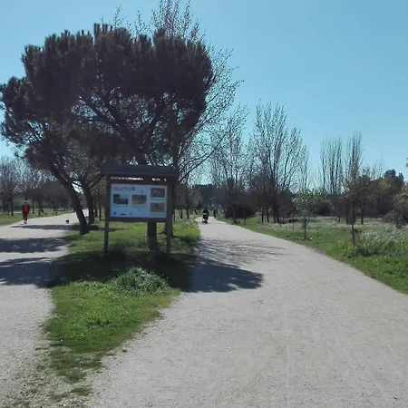 Rambla Emerita, Centro Ciudad